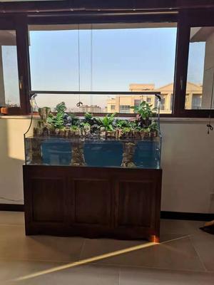 生态鱼缸 (8)